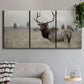Three-panel canvas wall art featuring elk standing in open grassland, displayed in a modern living room above a sofa.