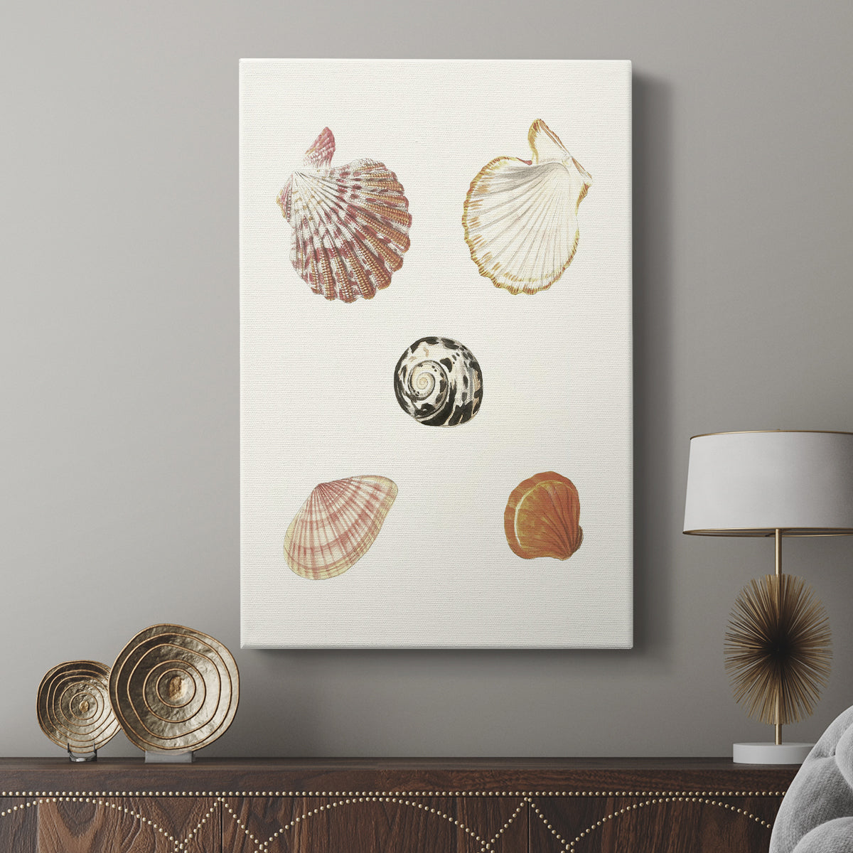 Pastel Knorr Shells VIII - Canvas Art Print