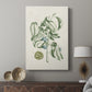 Buchoz Tropicals V - Canvas Art Print