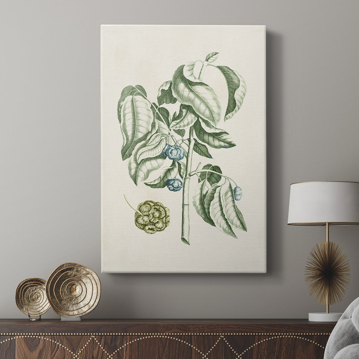 Buchoz Tropicals V - Canvas Art Print