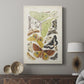 Antique Moths I - Canvas Art Print