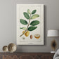 Turpin Tropical Botanicals V - Canvas Art Print