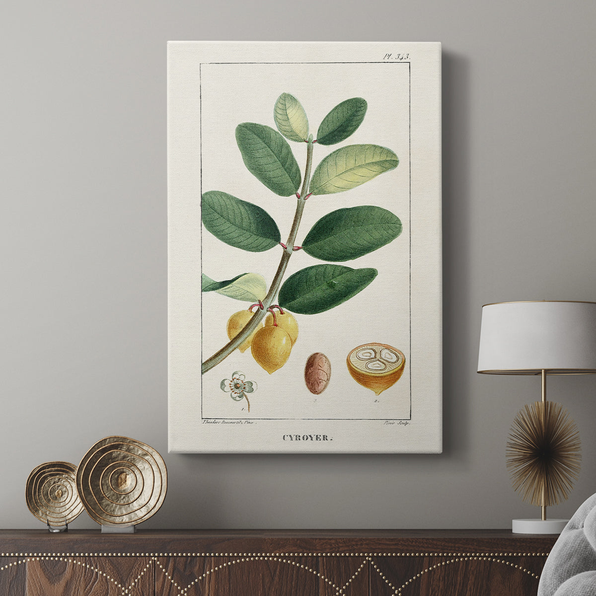 Turpin Tropical Botanicals V - Canvas Art Print