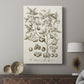 Sepia Botanical Journal II - Canvas Art Print