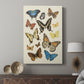 Collected Flutter II - Canvas Art Print