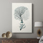 Antique Coastal Coral III - Canvas Art Print