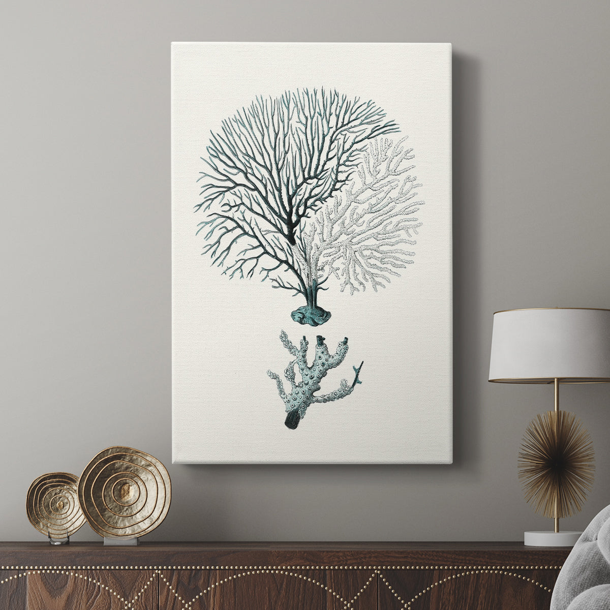 Antique Coastal Coral III - Canvas Art Print