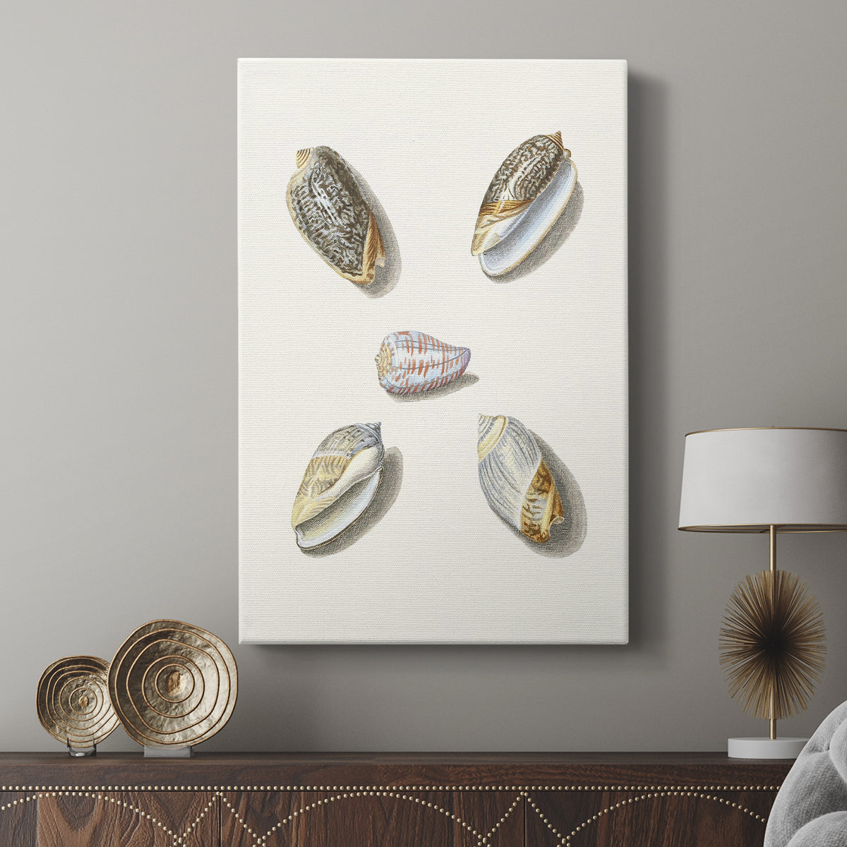 Pastel Knorr Shells III - Canvas Art Print