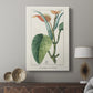 Turpin Tropical Botanicals II - Canvas Art Print