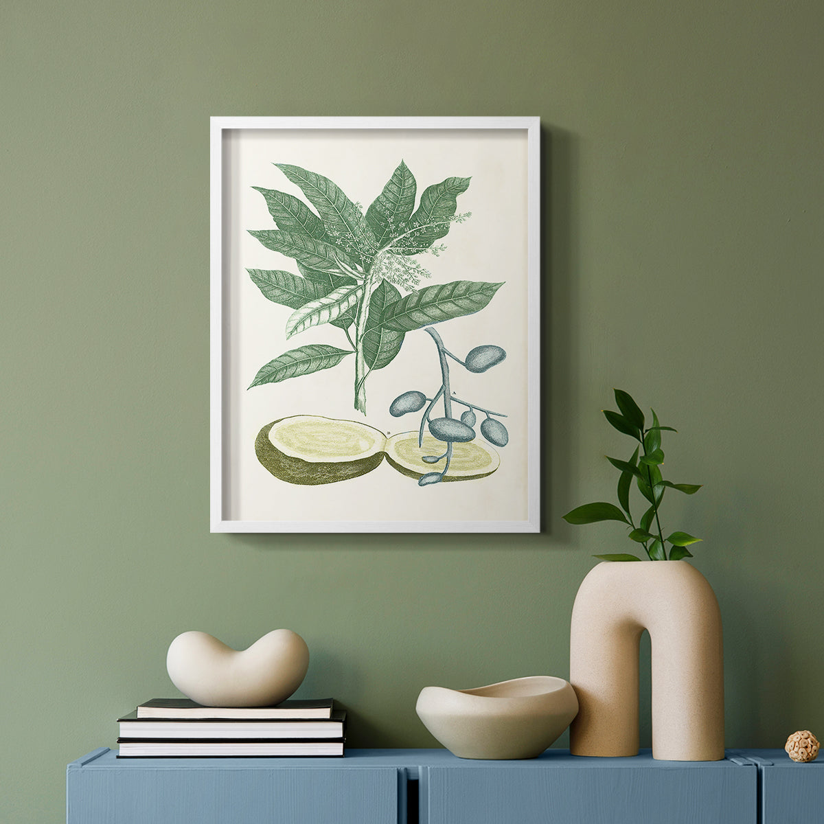 Buchoz Tropicals IV - Restickable Framed Art Print