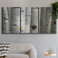 Three-panel canvas wall art featuring close up tree bark texture photograph, displayed in a modern living room above a sofa.