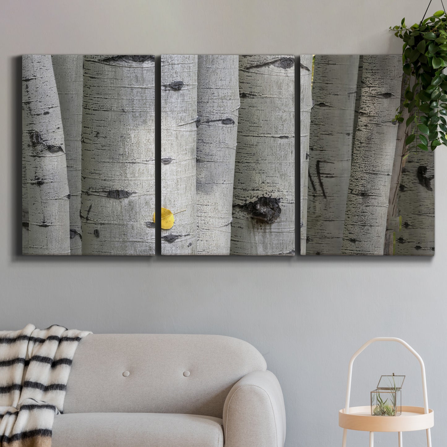 Three-panel canvas wall art featuring close up tree bark texture photograph, displayed in a modern living room above a sofa.