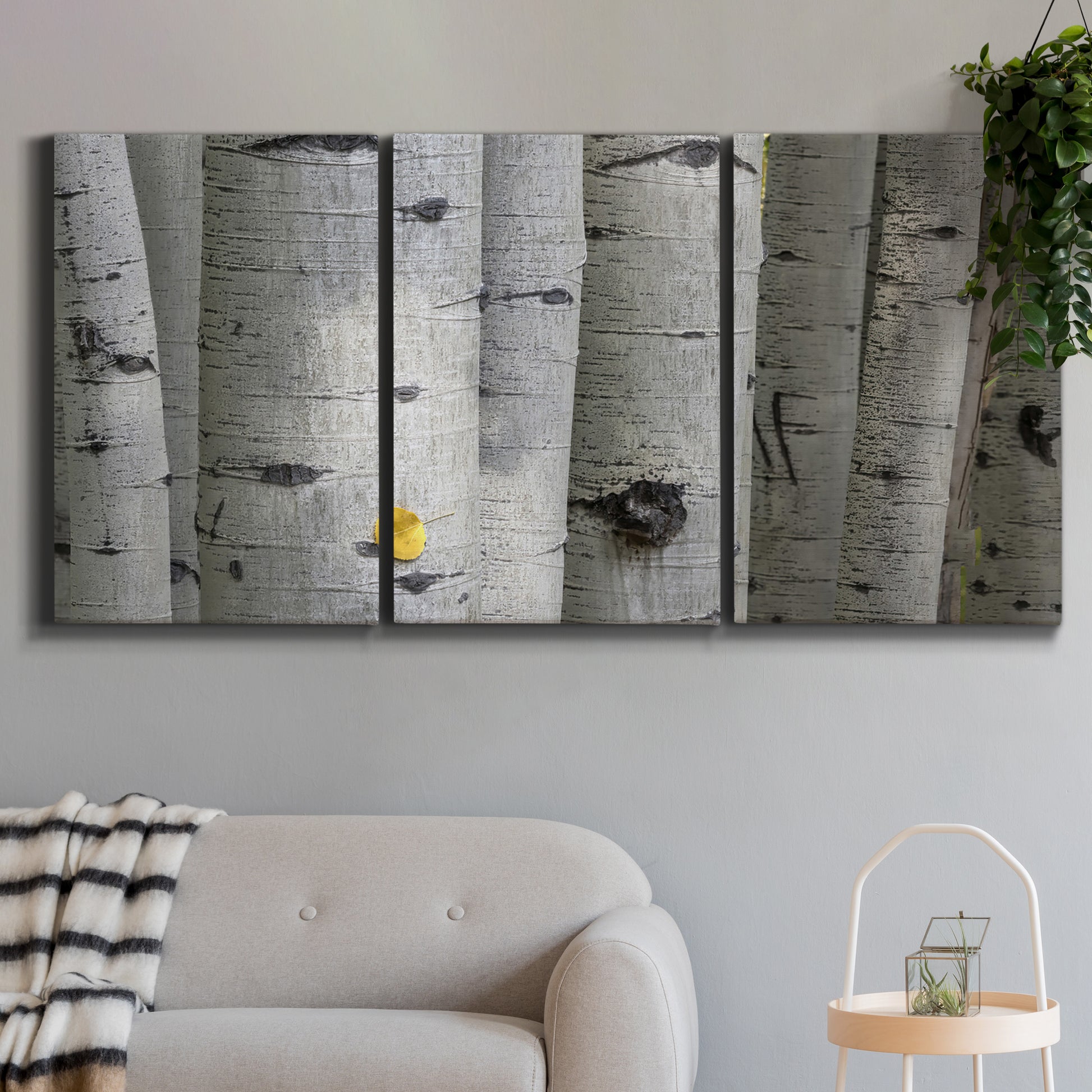 Three-panel canvas wall art featuring close up tree bark texture photograph, displayed in a modern living room above a sofa.