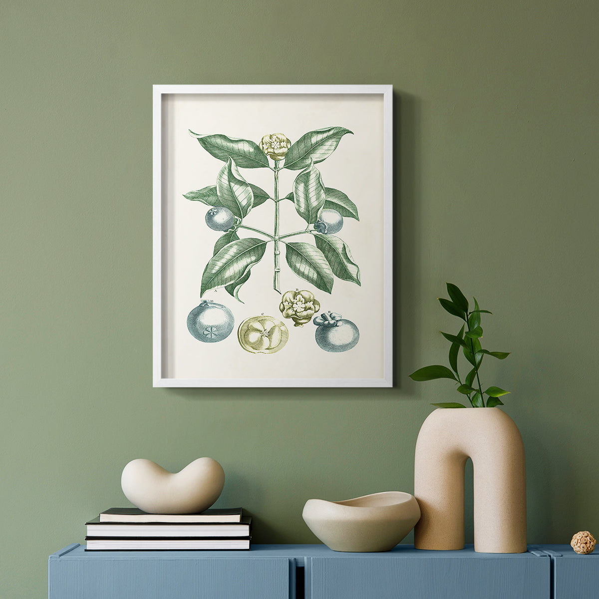 Buchoz Tropicals VII - Restickable Framed Art Print