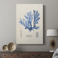 Blue Marine Algae IX - Canvas Art Print