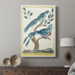 Chinese Blue Cuckoo and Green-Crested Cuckoo, 1771-1775 - Canvas Art Print