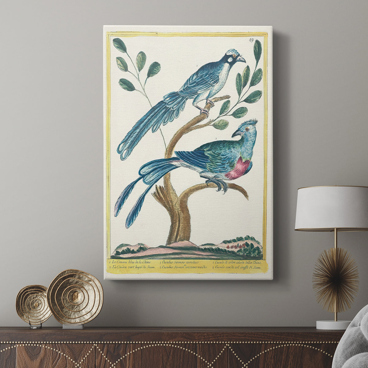Chinese Blue Cuckoo and Green-Crested Cuckoo, 1771-1775 - Canvas Art Print