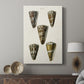 Cone Shell Collection V - Canvas Art Print