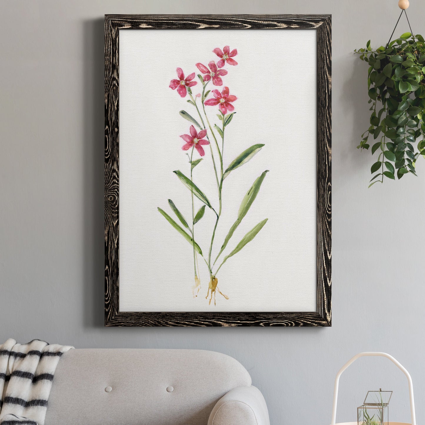 Delicate Pink II - Premium Canvas Framed in Barnwood - Ready to Hang