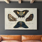 Crackled Butterflies IV - Canvas Art Print