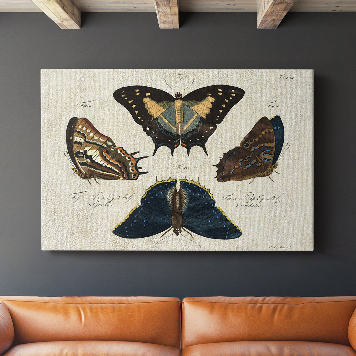 Crackled Butterflies IV - Canvas Art Print