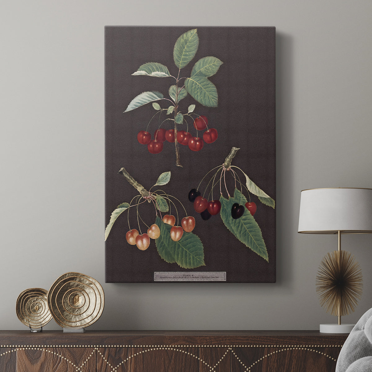 Brookshaw Cherries - Canvas Art Print