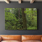 Calm of the Forest - Canvas Art Print