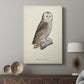 French Owls V - Canvas Art Print