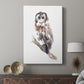 Barred Owl Impressions II - Canvas Art Print