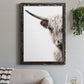 Highland Cattle - Premium Canvas Framed in Barnwood - Ready to Hang