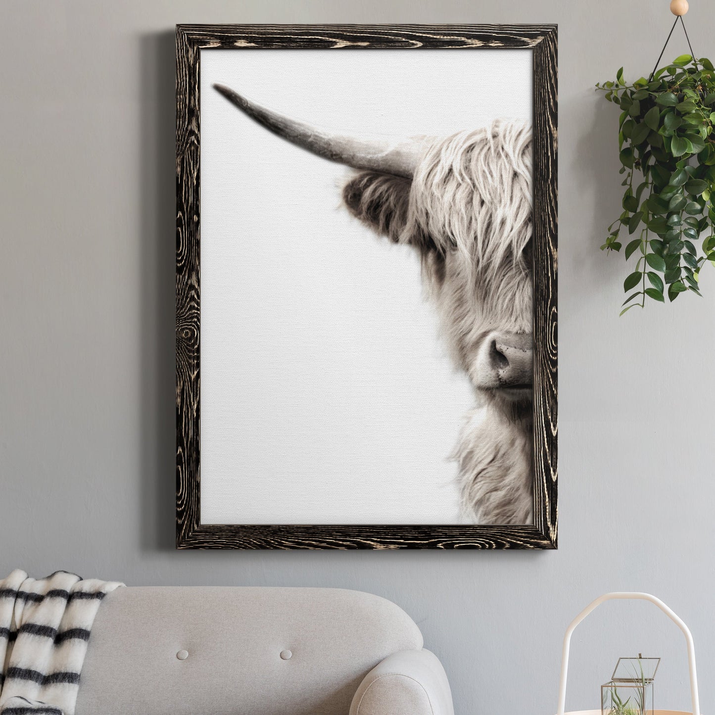 Highland Cattle - Premium Canvas Framed in Barnwood - Ready to Hang