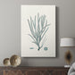 Antique Coastal Coral VII - Canvas Art Print
