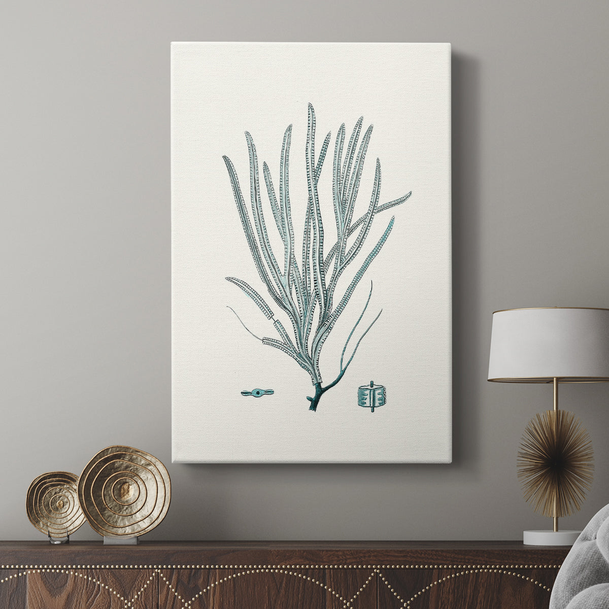 Antique Coastal Coral VII - Canvas Art Print