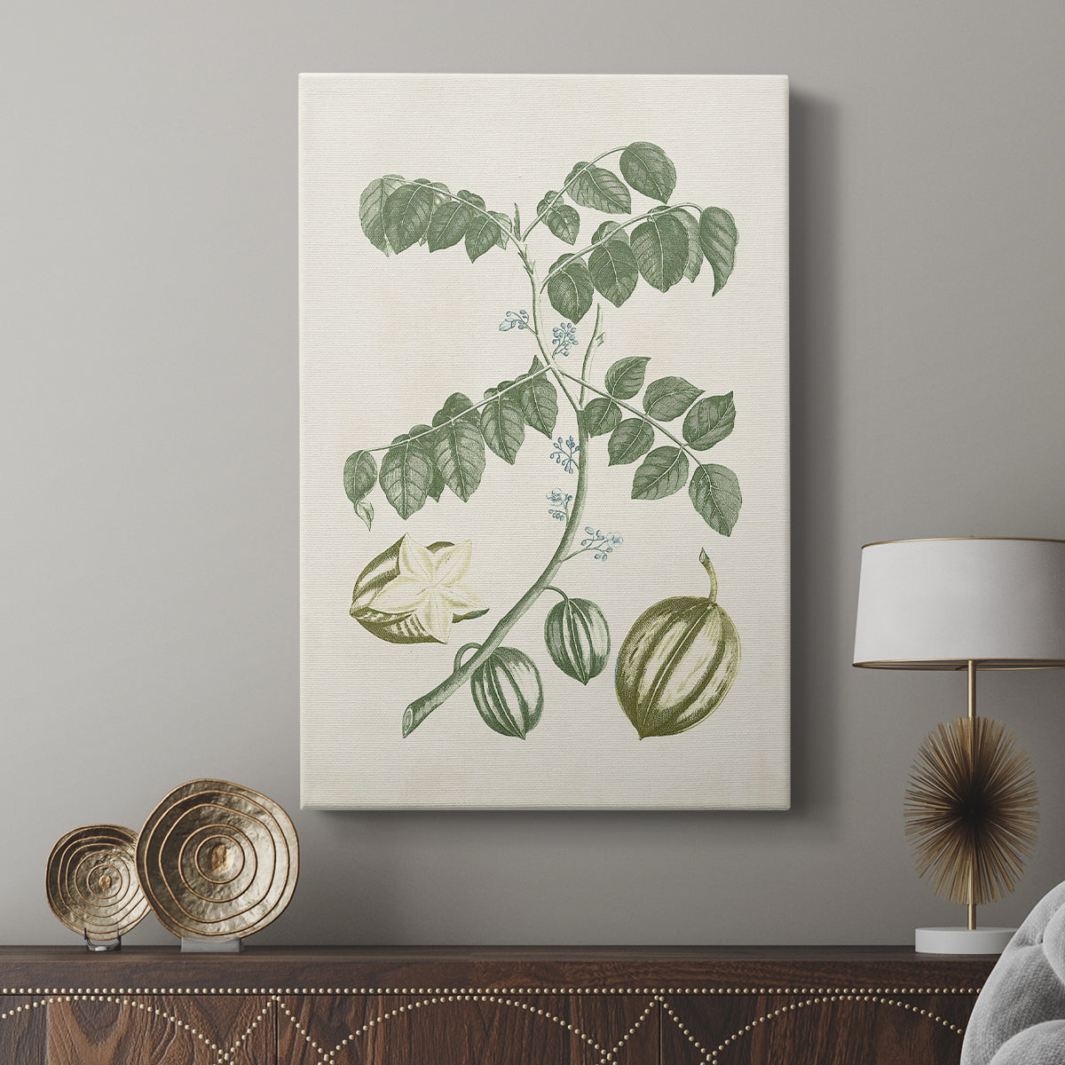 Buchoz Tropicals II - Canvas Art Print