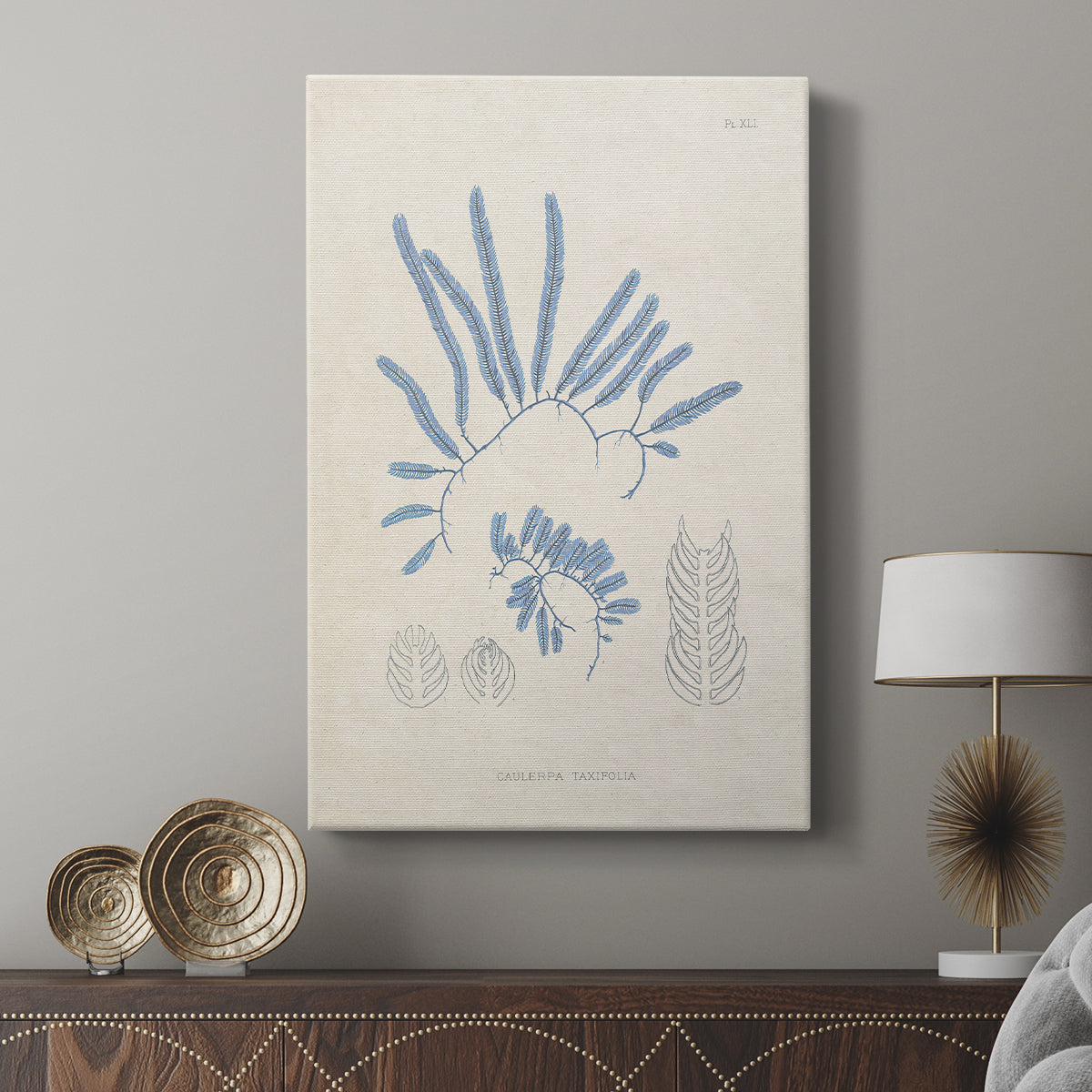 Blue Marine Algae II - Canvas Art Print