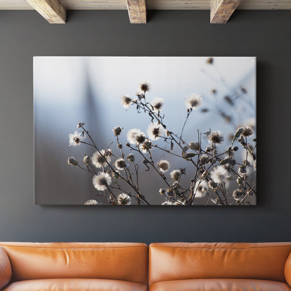 Spring Fluff - Canvas Art Print