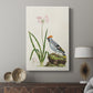 Amaryllis, Lily, and Waxwing, 1796 - Canvas Art Print