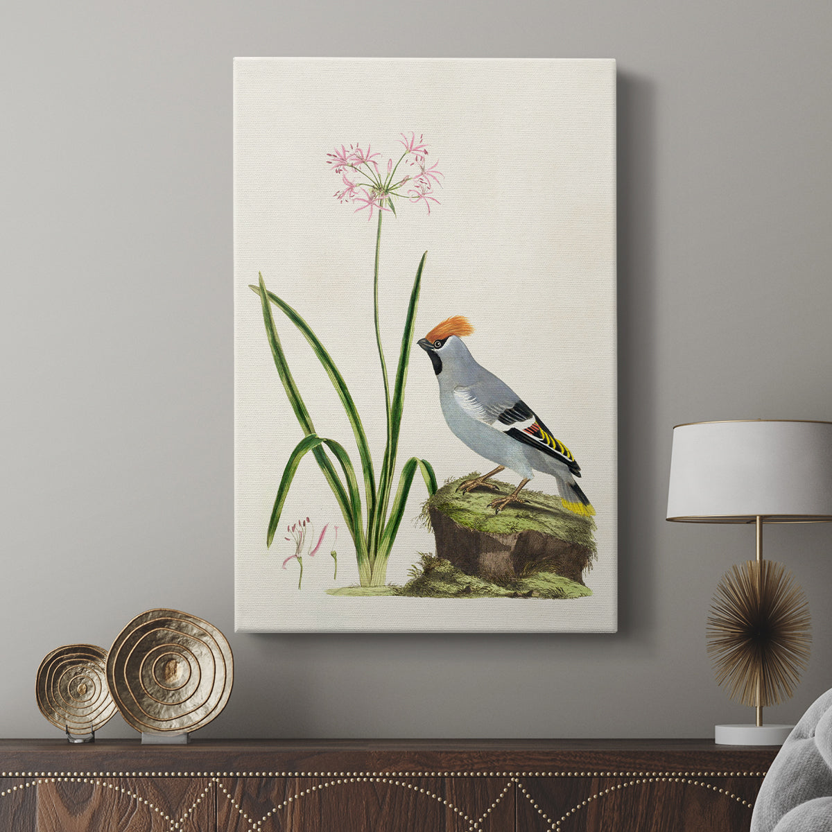Amaryllis, Lily, and Waxwing, 1796 - Canvas Art Print