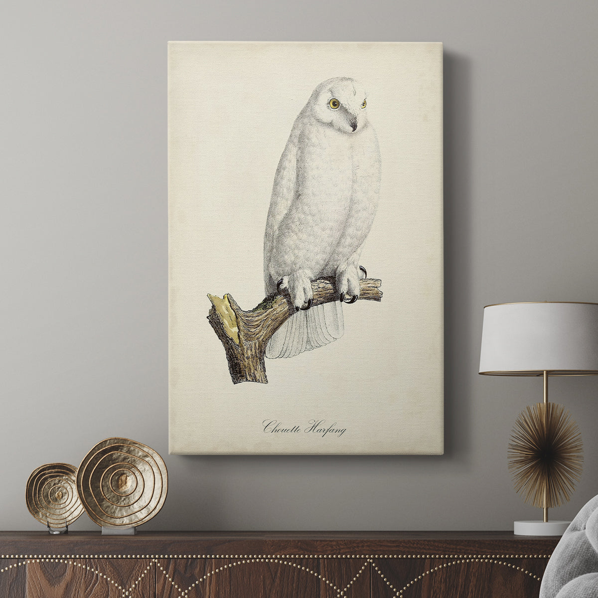 French Owls IV - Canvas Art Print