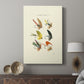 Bass Flies I - Canvas Art Print