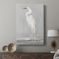 Coast Watching II - Canvas Art Print
