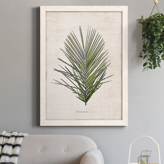 Palm Botanical I - Premium Canvas Framed in Barnwood - Ready to Hang