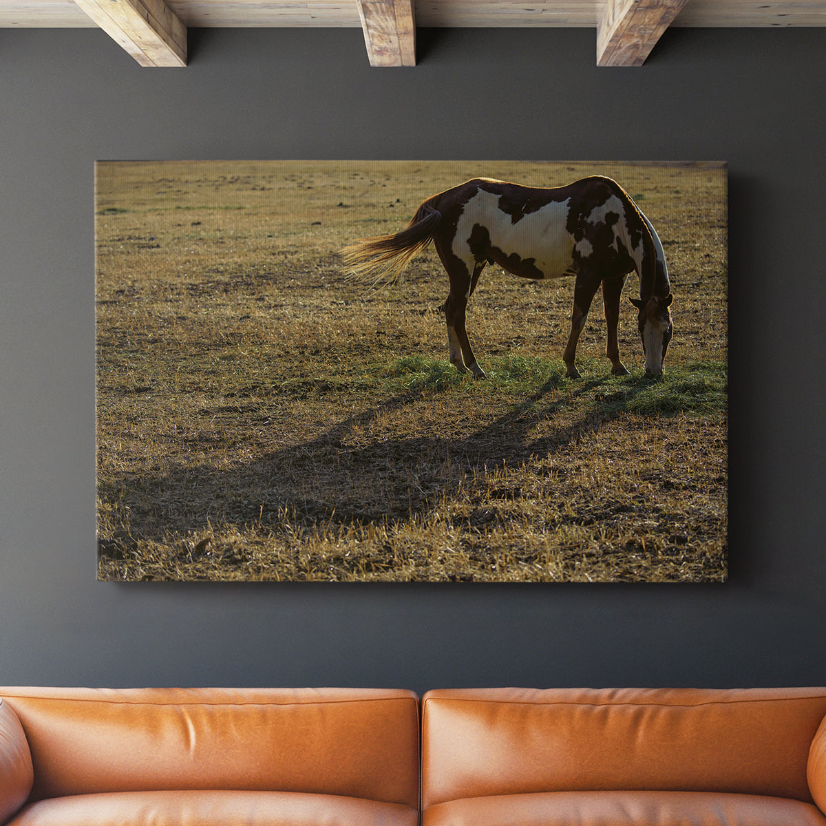 Long Shadow - Canvas Art Print