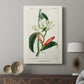Turpin Tropical Botanicals IX - Canvas Art Print