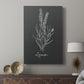 Scent Garden II - Canvas Art Print