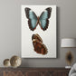 Antique Blue Butterflies IV - Canvas Art Print