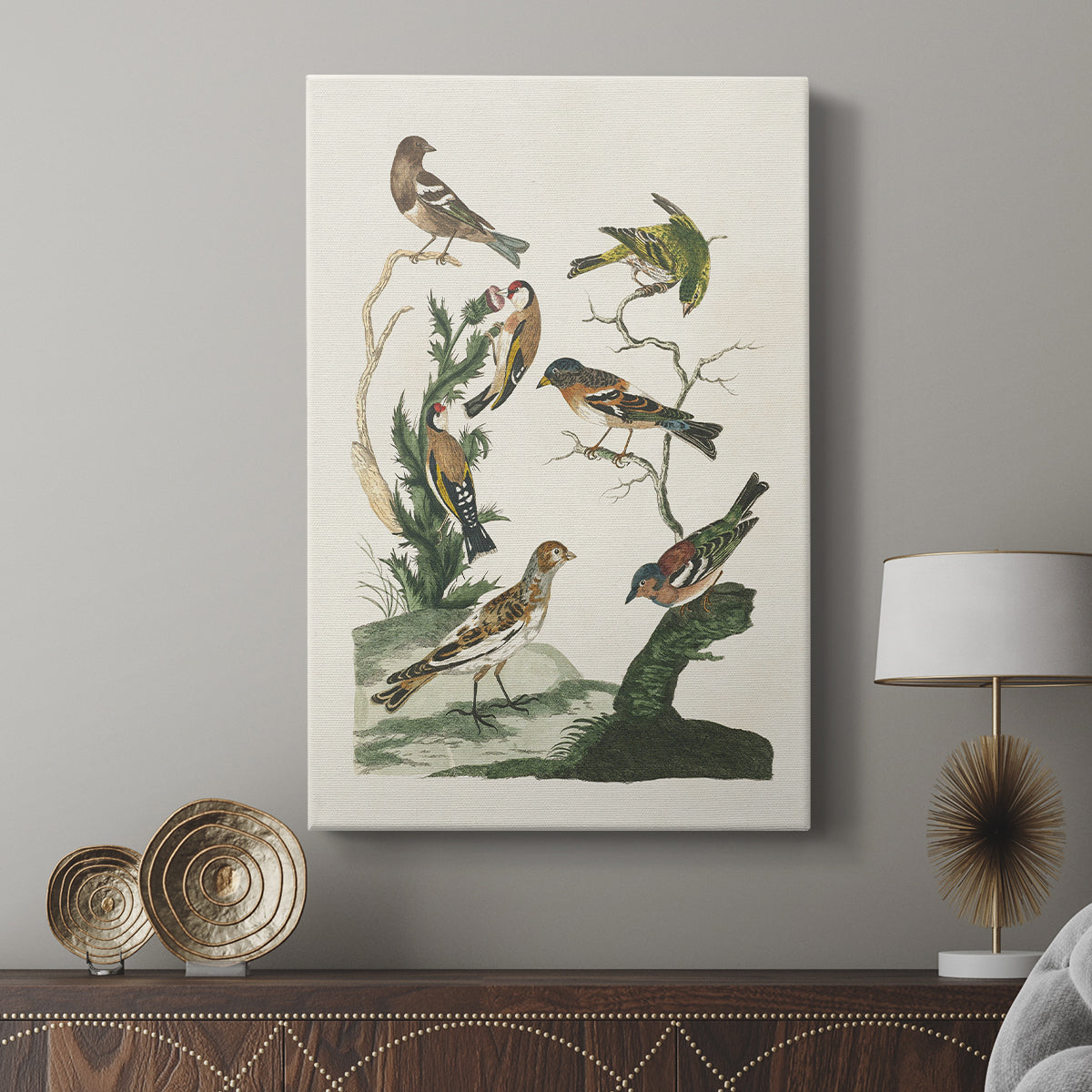 Antique Birds in Nature I - Canvas Art Print