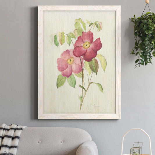 Dusty Rose II - Barnwood Framed Canvas Print