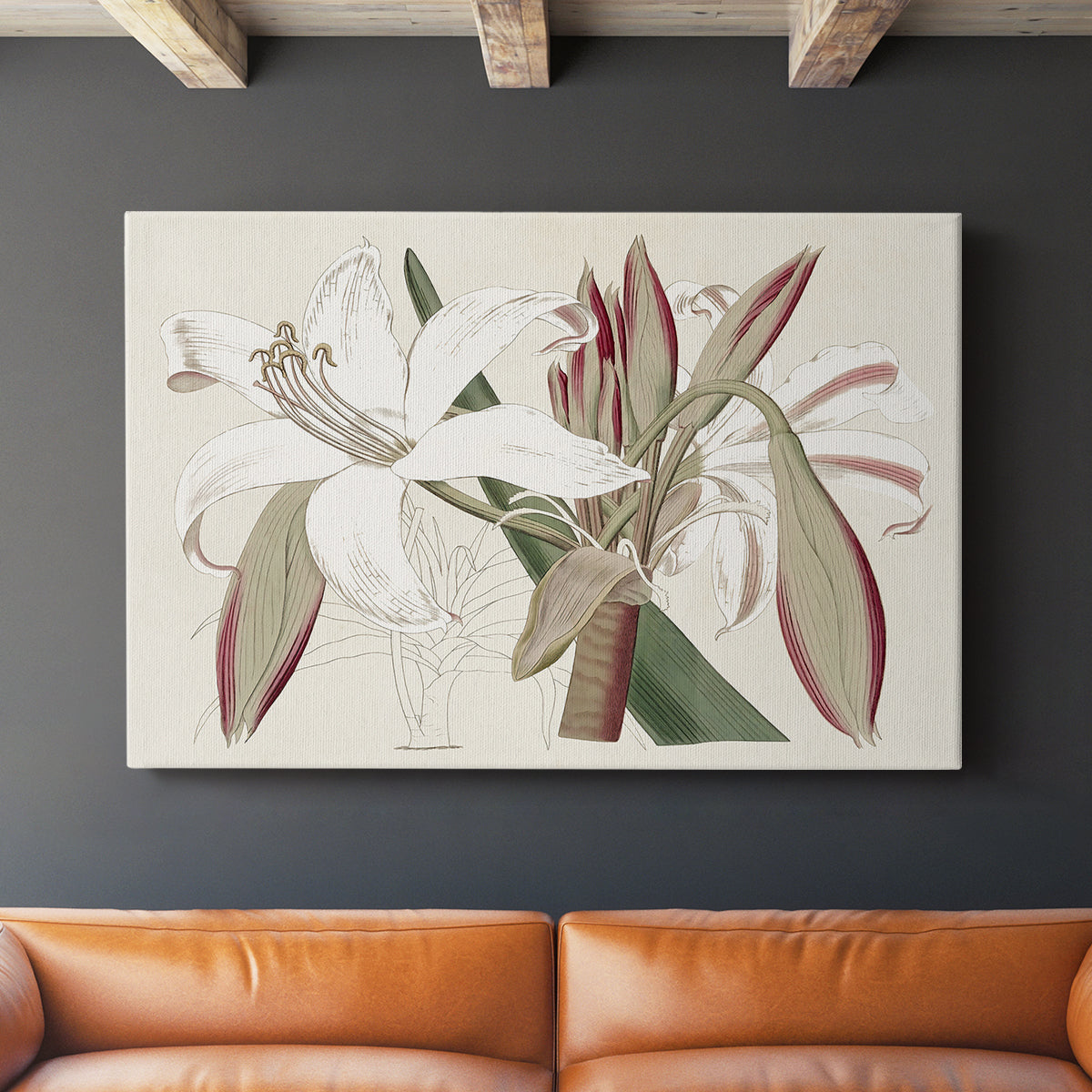Amaryllis Varietals II - Canvas Art Print