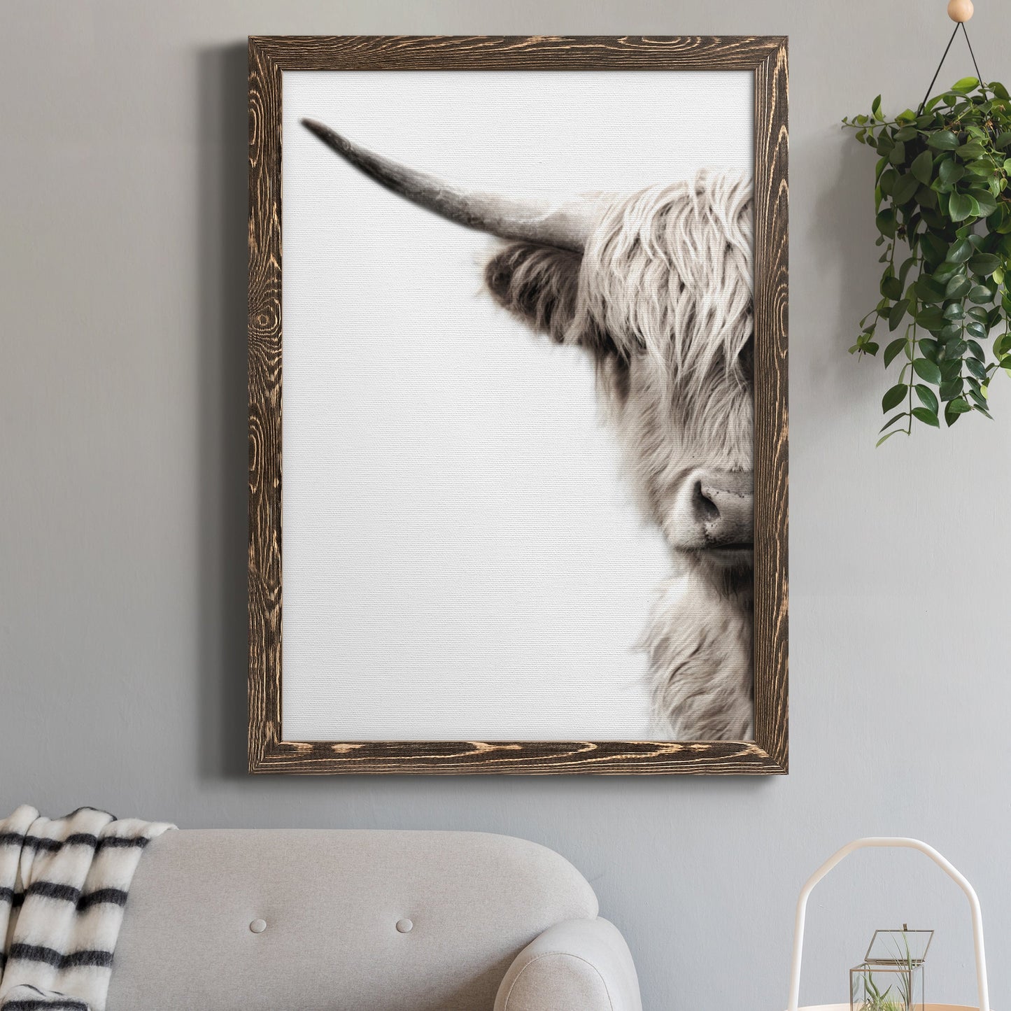 Highland Cattle - Premium Canvas Framed in Barnwood - Ready to Hang